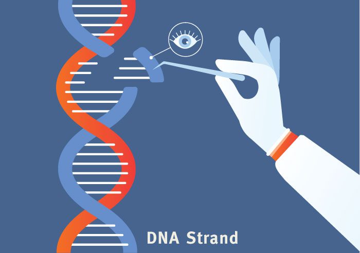 Inherited Retinal Diseases Prevent Blindness Texas