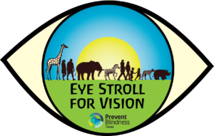 11th Annual Houston Eye Stroll for Vision