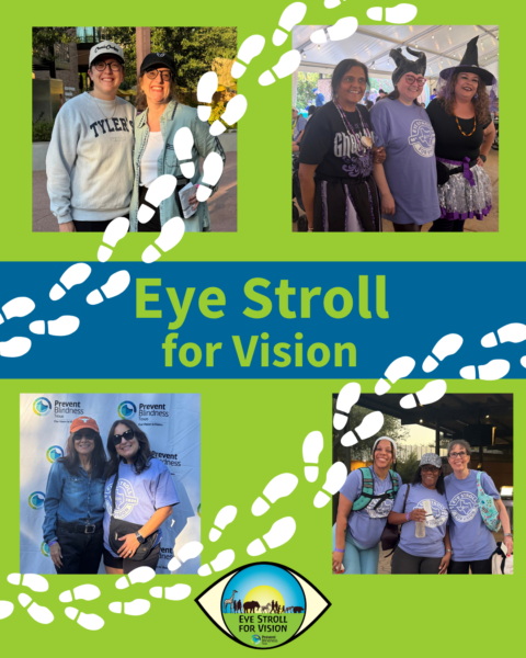Eye Stroll 2026 45